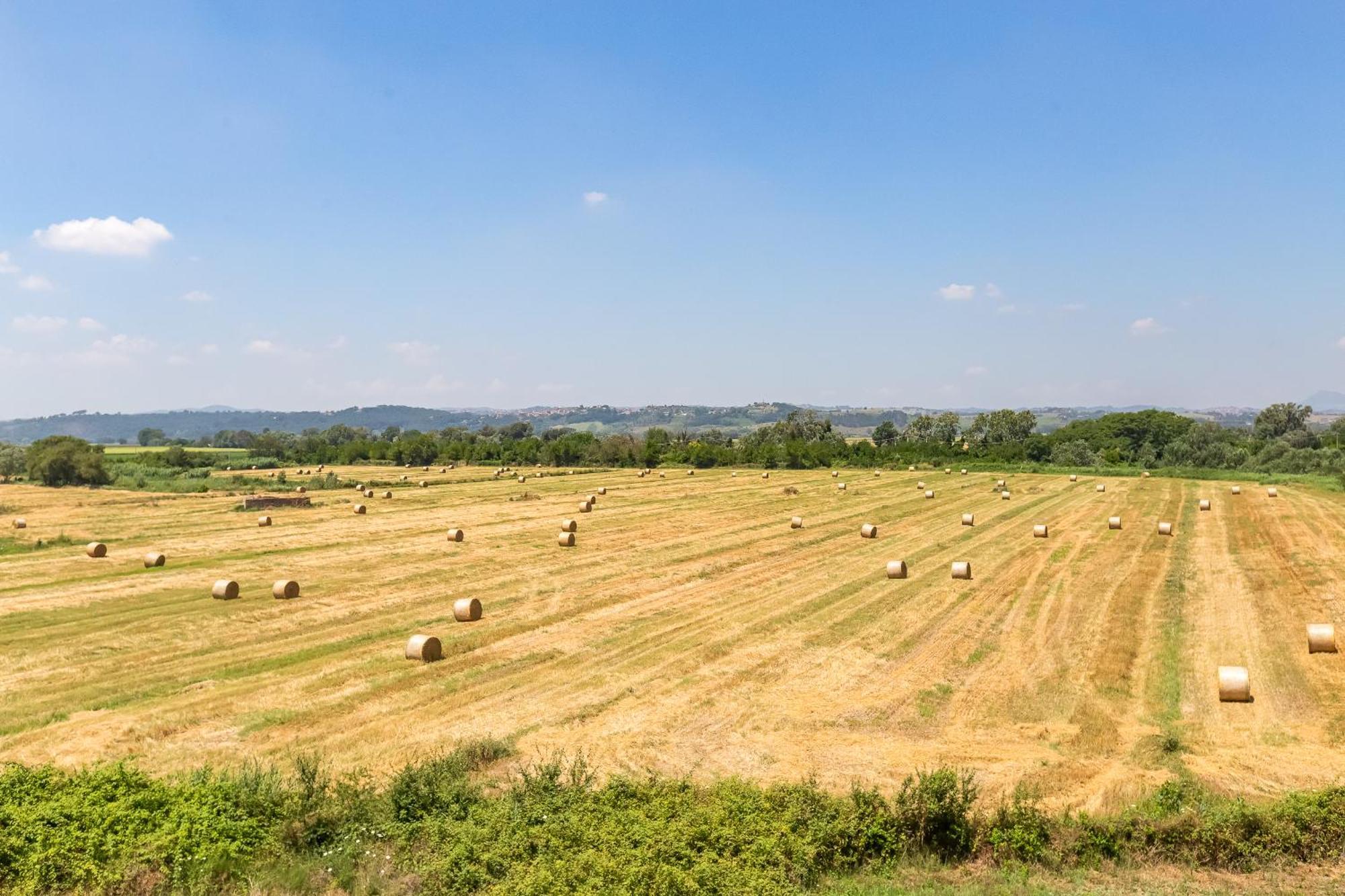 Homesweethome Near Rome มอนเตโรตอนโด ภายนอก รูปภาพ